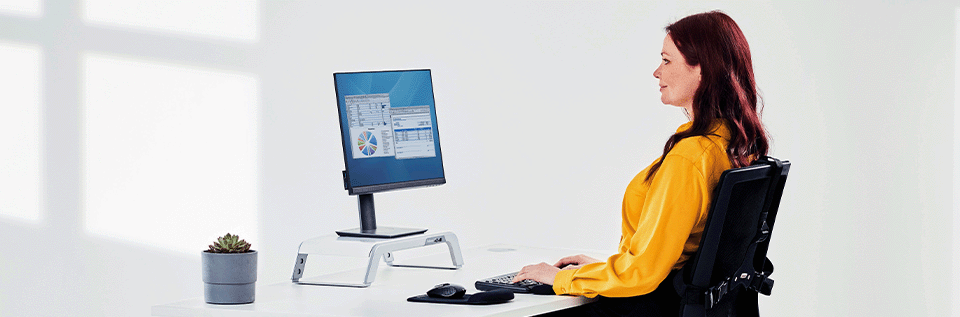 Banner_Cat_WorkspaceErgo_2016_01_GB_EN.png