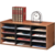 Literature Organizer - 12 Compartments, Medium Oak__25400_clear.png