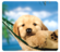 Fellowes® Recycled Optical Mouse Pad - Puppy in Hammock__5913901_PuppyHammock.png