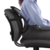 Office Suites™ Mesh Back Support__8036501.png