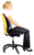 Cojín Lumbar Mesh Office Suites™__MeshBackSupport_91913_A.png