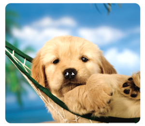 Fellowes® Recycled Optical Mouse Pad - Puppy in Hammock__5913901_PuppyHammock.png