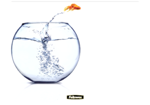 Leaping Goldfish Brite Mat Mouse Pad__BriteMat_LeapingGoldfish_58029_F.png