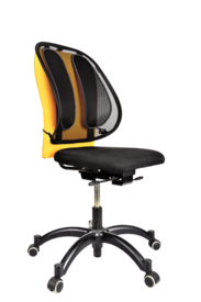 Cojín Lumbar Mesh Office Suites™__MeshBackSupport_91913_RF.png