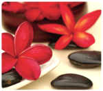 Mousepad Earth Series - Fiori Spa__5904601_SpaFlowers.png
