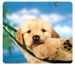 Fellowes® Recycled Optical Mouse Pad - Puppy in Hammock__5913901_PuppyHammock.png