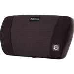 PlushTouch™ Lumbar Support