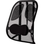 Professional Series Mesh Back Support