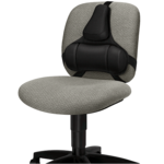 Professional Series Back Support__8037601_Hero_Left.png