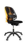 Professional Series™ Rugsteun van gaas__BackSupport_80299_RF.png