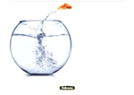 Brite Mat rettangolari - Pesce rosso__BriteMat_LeapingGoldfish_58029_F.png