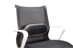 ISpire_LumbarCushion_OnChair.png