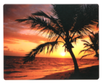Square Brite Mat Palm Moods__PalmMoods_MouseMat_58750_F.png
