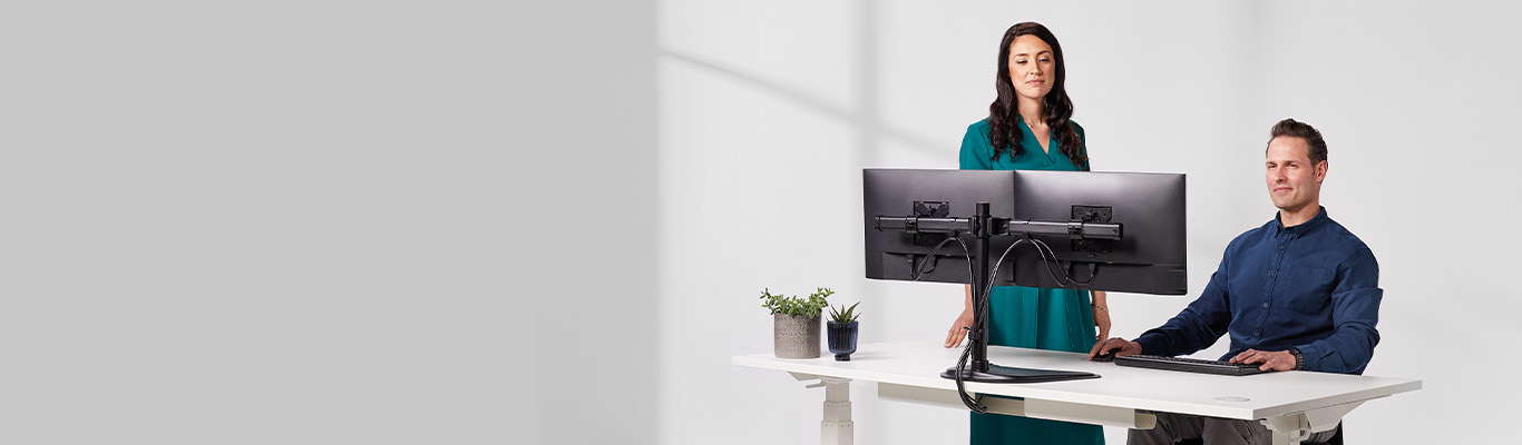 Seasa Monitor Arms