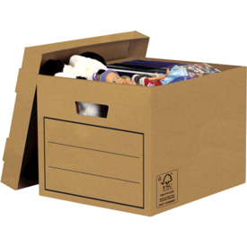 Boîte de rangement multi-usage (10pk)