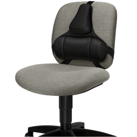 Professional Series Back Support