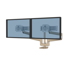 Bras porte-écran RisingEx™  2FFS 