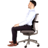 Office Suites™ Mesh Back Support