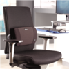 Office Suites™ Mesh Back Support