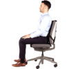 Professional Series™ Ultimate Back Support