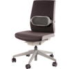 I-Spire Series™ Lumbar Cushion - Grey