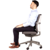 I-Spire Series™ Lumbar Cushion - Grey