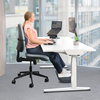 Breyta™ Lumbar Cushion__Breyta_Cushions_ErgoPosition_e.png