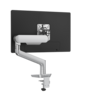 Rising™  Single Monitor Arm
