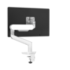 Rising™  Single Monitor Arm - Designer White__RSNG-WHT-B-021523.png