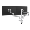 RSNGEX2-FF-Platinum-B-031823.png
