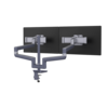 RisingEx™  2FFS Monitor Arm