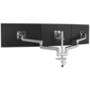 RSNGEX3-FF-PLT__RSNGEX3-FF-Platinum-B-031823.png