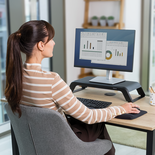Hana LT Monitor Stand