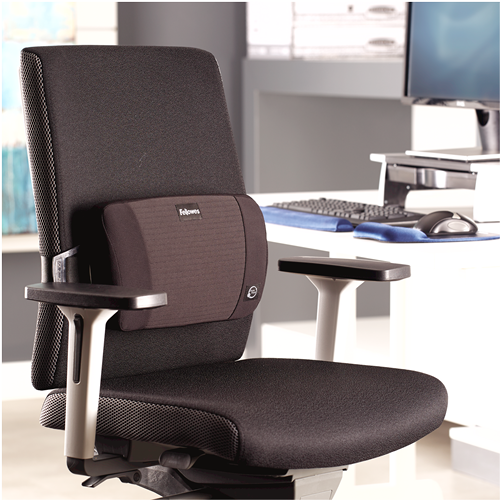 Office Suites™ Mesh Back Support
