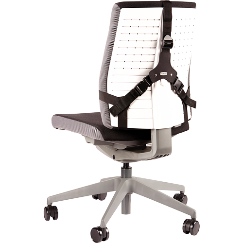 Professional Series™ Ultimate Back Support