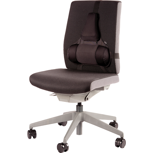 Professional Series™ Ultimate Back Support