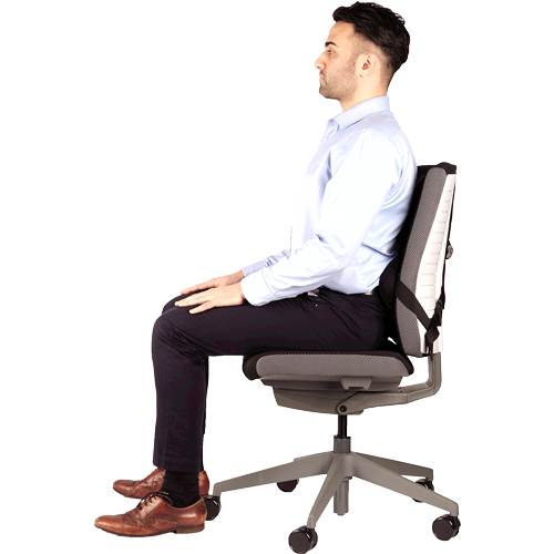 Professional Series™ Ultimate Back Support