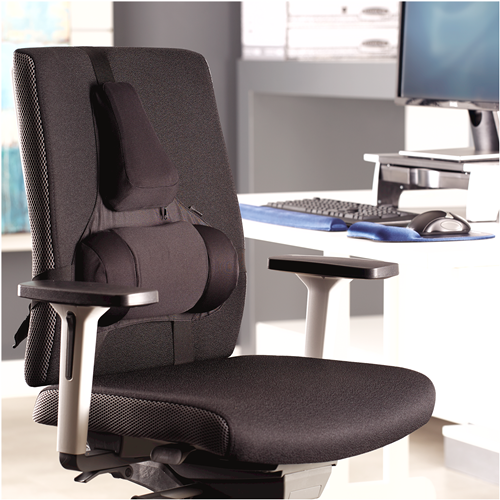Professional Series™ Ultimate Back Support