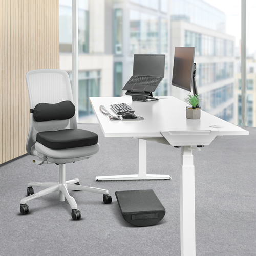 Breyta™ Lumbar Cushion__Breyta_Cushion_SetUp_b_LS.png
