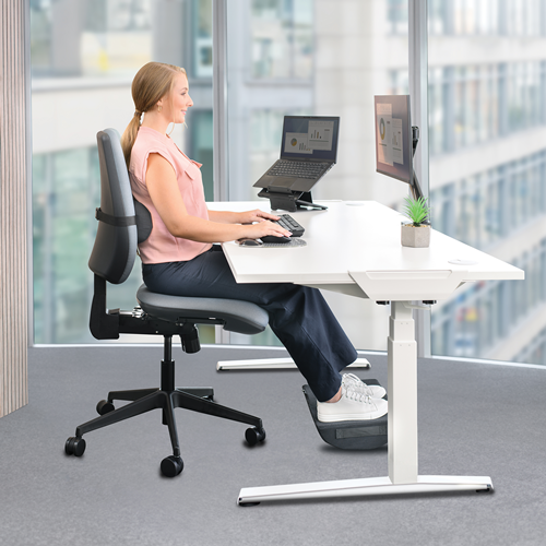 Breyta™ Lumbar Cushion__Breyta_Cushions_ErgoPosition_e.png