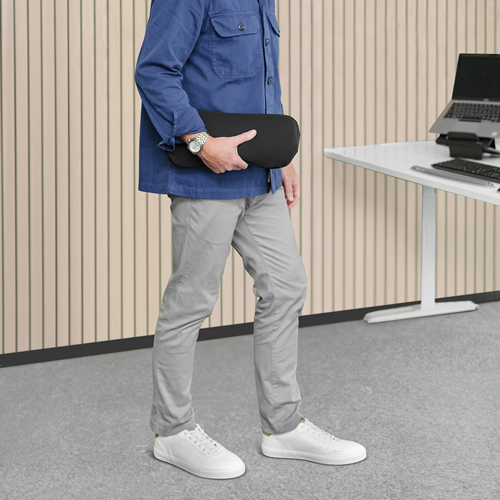 Breyta™ Lumbar Cushion__Carry_Lumbar_Back_Cushion.png