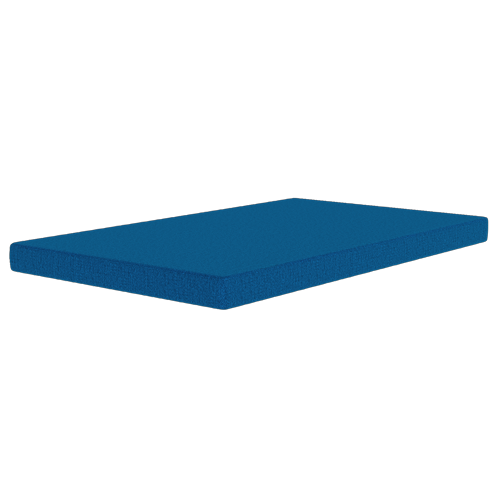Cushion