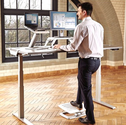 Sit-stand research paper