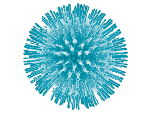 virus3